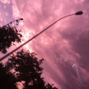 舔阴成人在线观看视频
