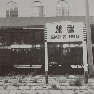 舔阴成人在线观看视频
